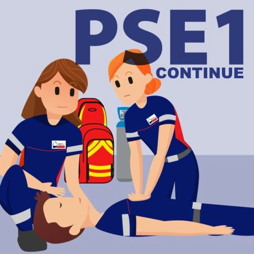 Formation continue de premiers secours en équipe de niveau 1 - FC PSE1 — formation UDPS 90